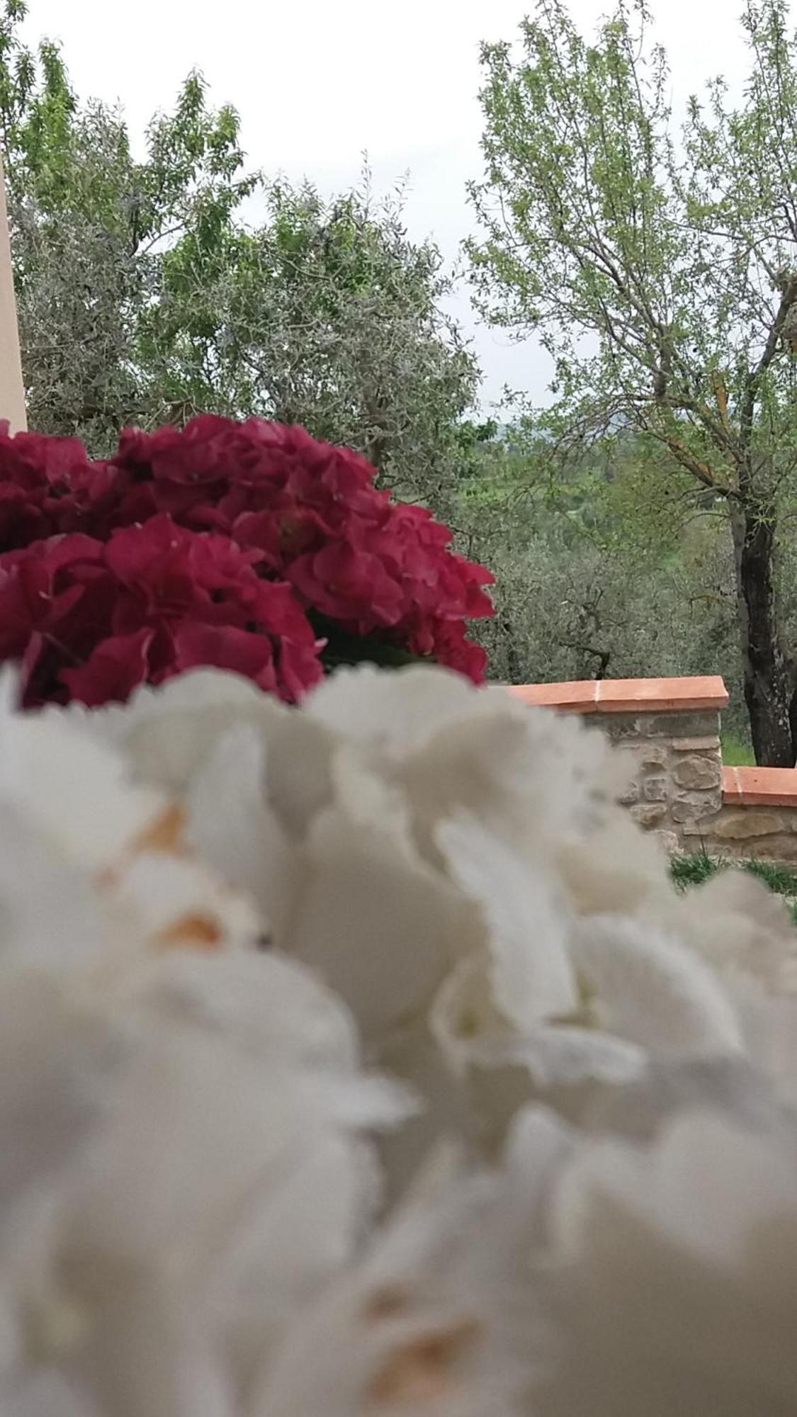 Il Fienile Holiday Home Le Fornacette Luaran gambar